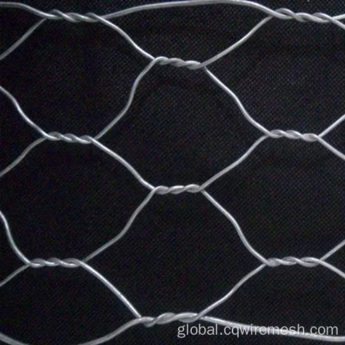 Hole Size Hexagonal Gabion Netting 10*12cm Hole Size Hexagonal Gabion Netting Factory